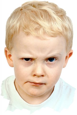 Okul ve Öğrenmeye Yönelik Eğitimler